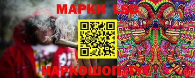 прущие грибы Донской