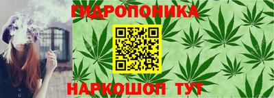 стаф Донецк
