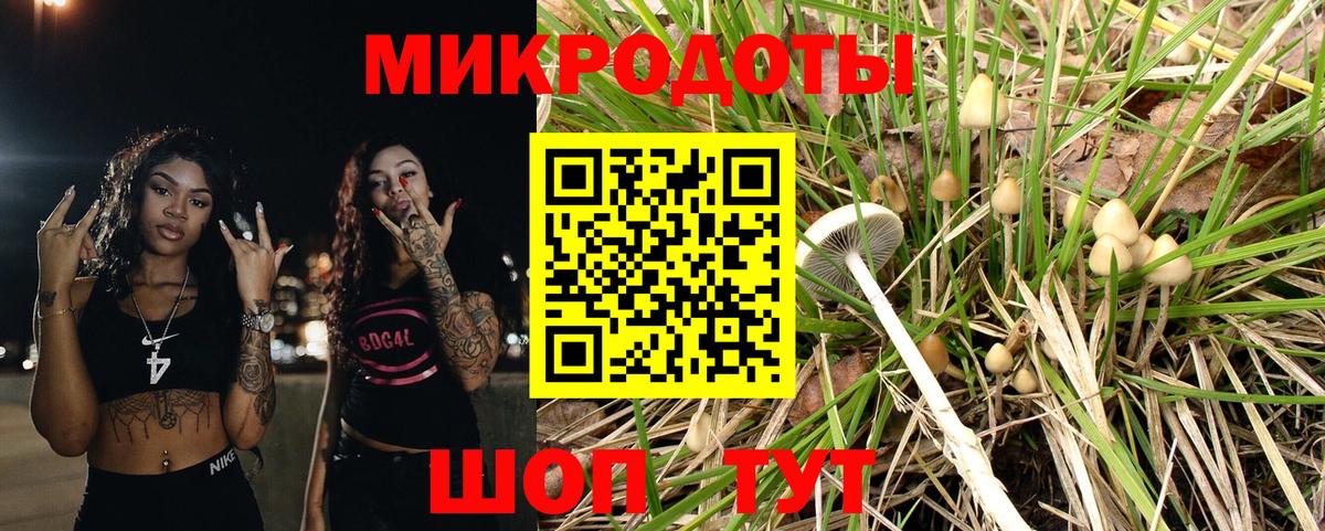 купить   Псилоцибиновые грибы Magic Shrooms  Курчалой  Вход с VPN  Псилоцибиновые грибы Magic Shrooms 
